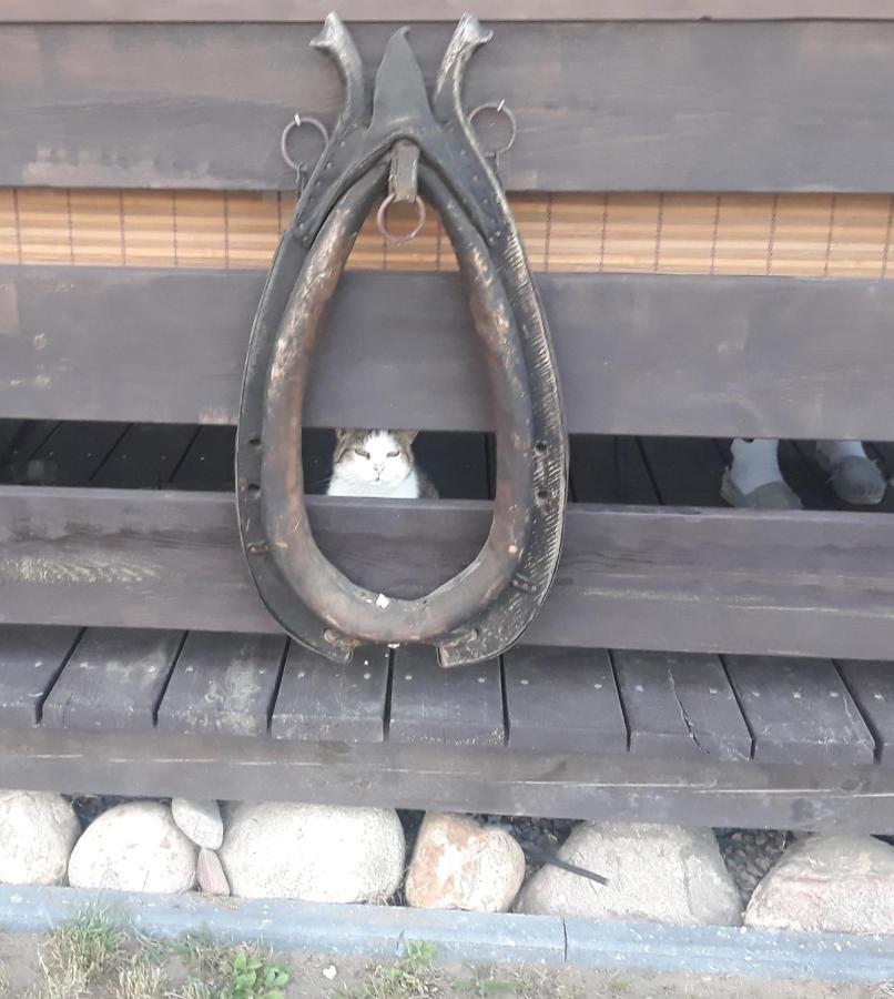 Gapkowo Villa Stare Kiejkuty Exterior foto